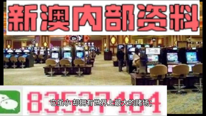 澳门精准正版免费大全24年新,澳门精准正版免费大全24年新，探索与体验的旅程