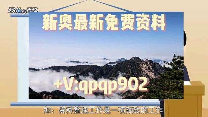 2004新奥精准资料免费提供,2004年新奥精准资料免费分享的启示与价值