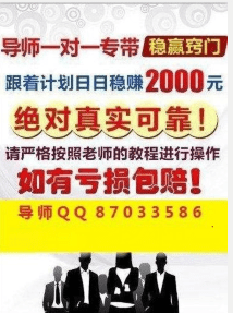 2025年正版免费天天开彩,预见未来，2025年免费天天开彩的全新正版体验