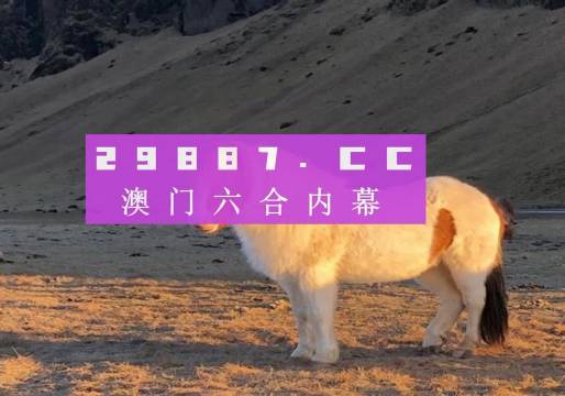 2025澳门天天开彩大全最新版本,探索2025澳门天天开彩大全最新版本