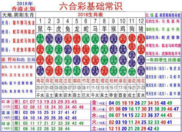 澳门正版资料大全资料生肖卡,澳门正版资料大全与生肖卡之谜