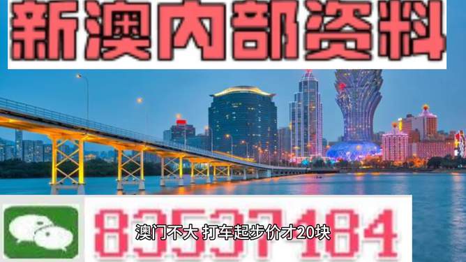 2025新澳门资料大全123期,探索2025新澳门资料大全的奥秘，第123期的精彩回顾与展望