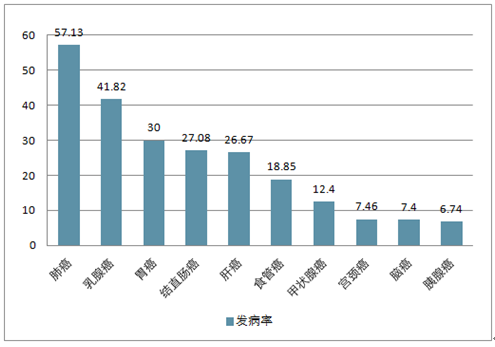 2025年新澳门生肖走势图,2025年新澳门生肖走势图解析